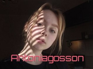 Antoniagosson