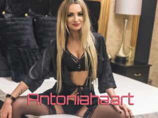 Antoniahaart