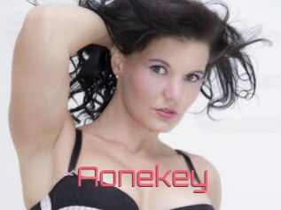 Aonekey