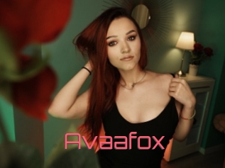Avaafox