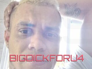 BIGDICKFORU4