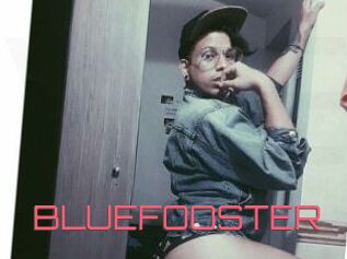 BLUEFOOSTER