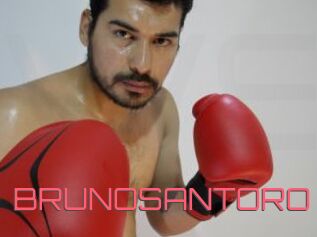 BRUNOSANTORO