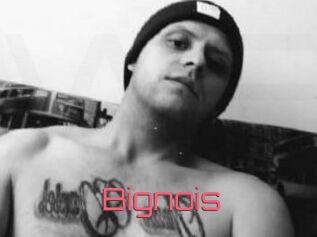 Bignois