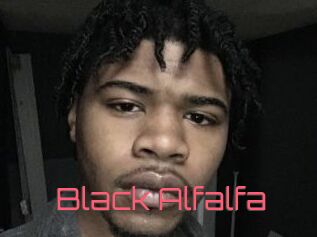 Black_Alfalfa