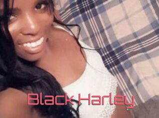 Black_Harley