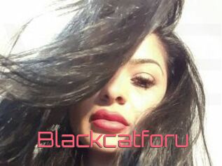 Blackcatforu