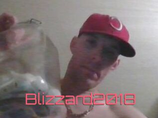Blizzard2018