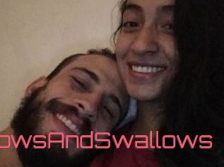 BlowsAndSwallows