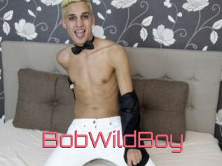 BobWildBoy