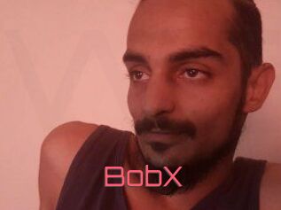 BobX
