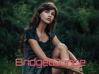 BridgetDunce