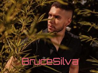 BruceSilva