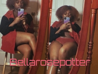Bellarosepotter