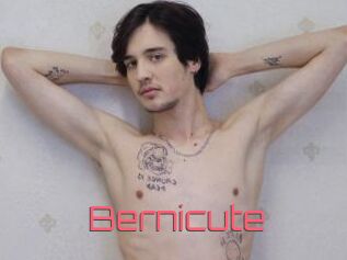 Bernicute