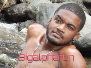 Bigalphafun
