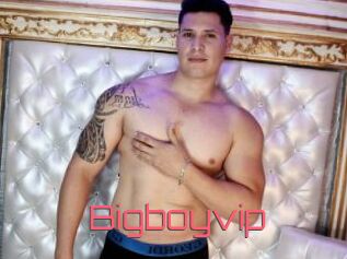 Bigboyvip