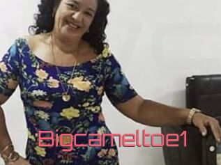 Bigcameltoe1