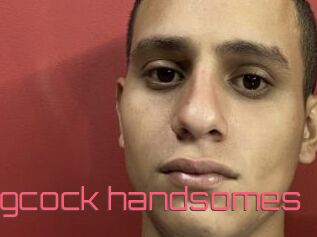 Bigcock_handsomes