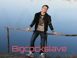 Bigcockslave