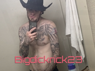 Bigdickrick23