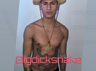 Bigdicksnake