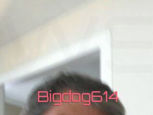 Bigdog614