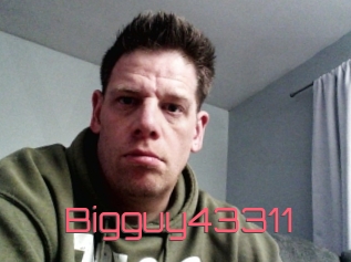 Bigguy43311