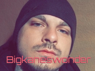 Bigkaneswonder