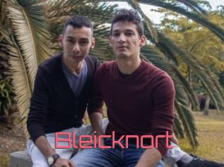 Bleicknort