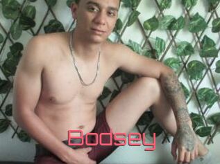 Bodsey