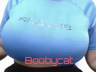 Boobycat