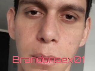 Brandonsex01