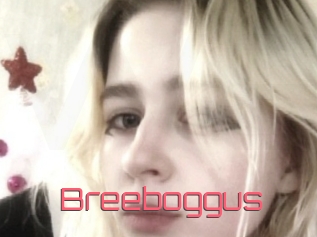 Breeboggus
