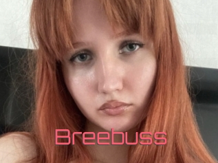 Breebuss