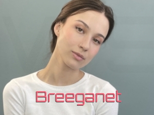 Breeganet