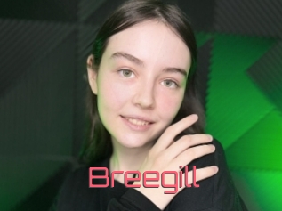 Breegill