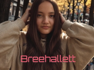 Breehallett