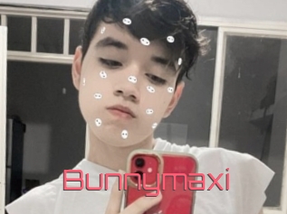 Bunnymaxi