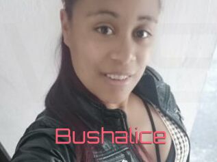Bushalice