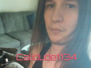 Calidude1134