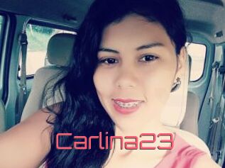 Carlina23