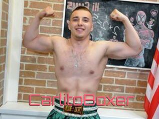 CarlitoBoxer