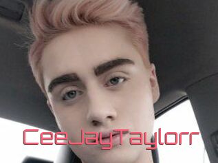 CeeJayTaylorr