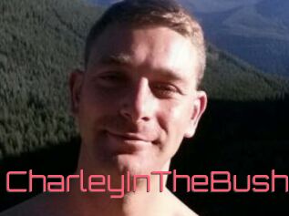 CharleyInTheBush