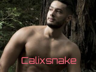 Calixsnake
