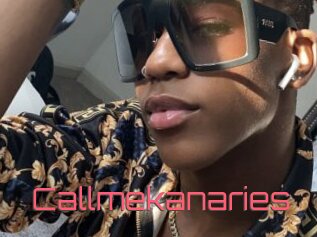 Callmekanaries