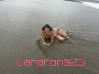 Canariona23