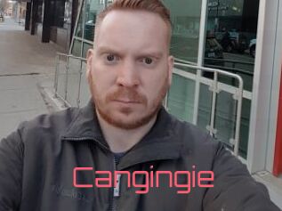 Cangingie