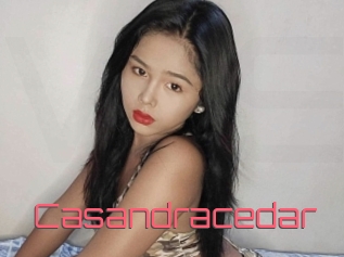 Casandracedar